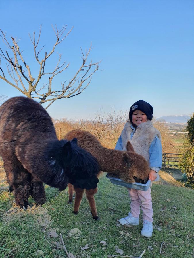 Agriturismo Il Vecchio Mandorlo Villa Perugia Dış mekan fotoğraf