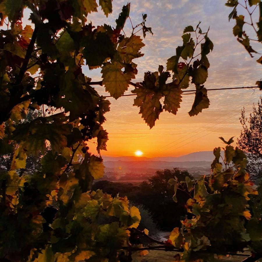 Agriturismo Il Vecchio Mandorlo Villa Perugia Dış mekan fotoğraf