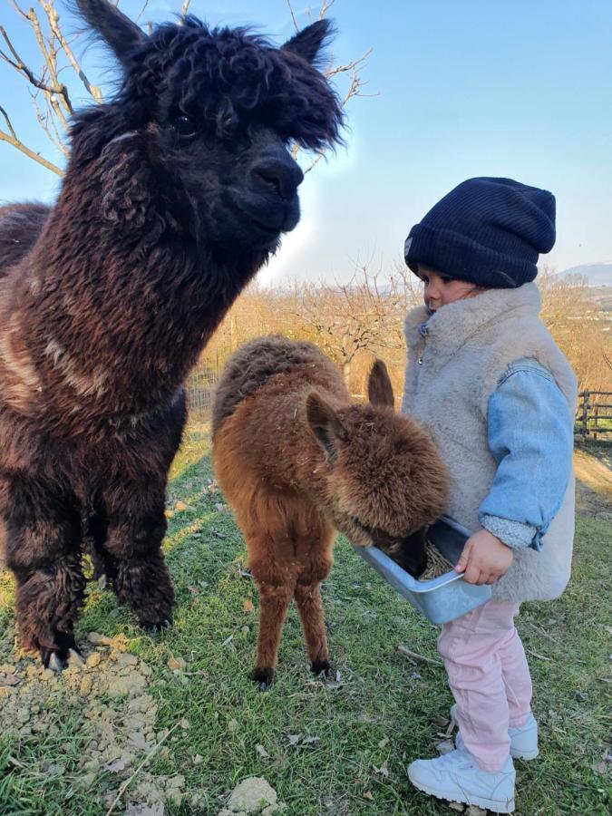 Agriturismo Il Vecchio Mandorlo Villa Perugia Dış mekan fotoğraf