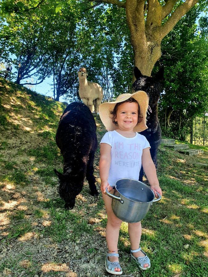 Agriturismo Il Vecchio Mandorlo Villa Perugia Dış mekan fotoğraf