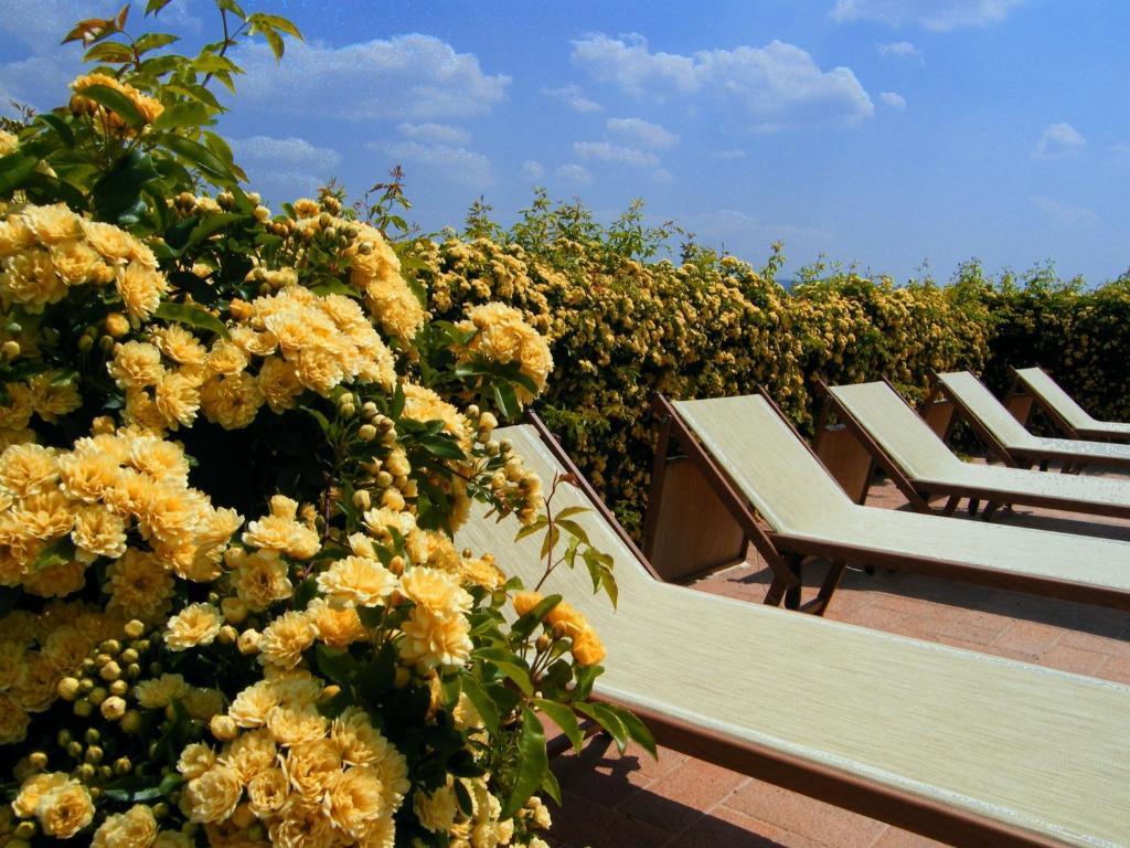 Agriturismo Il Vecchio Mandorlo Perugia Dış mekan fotoğraf