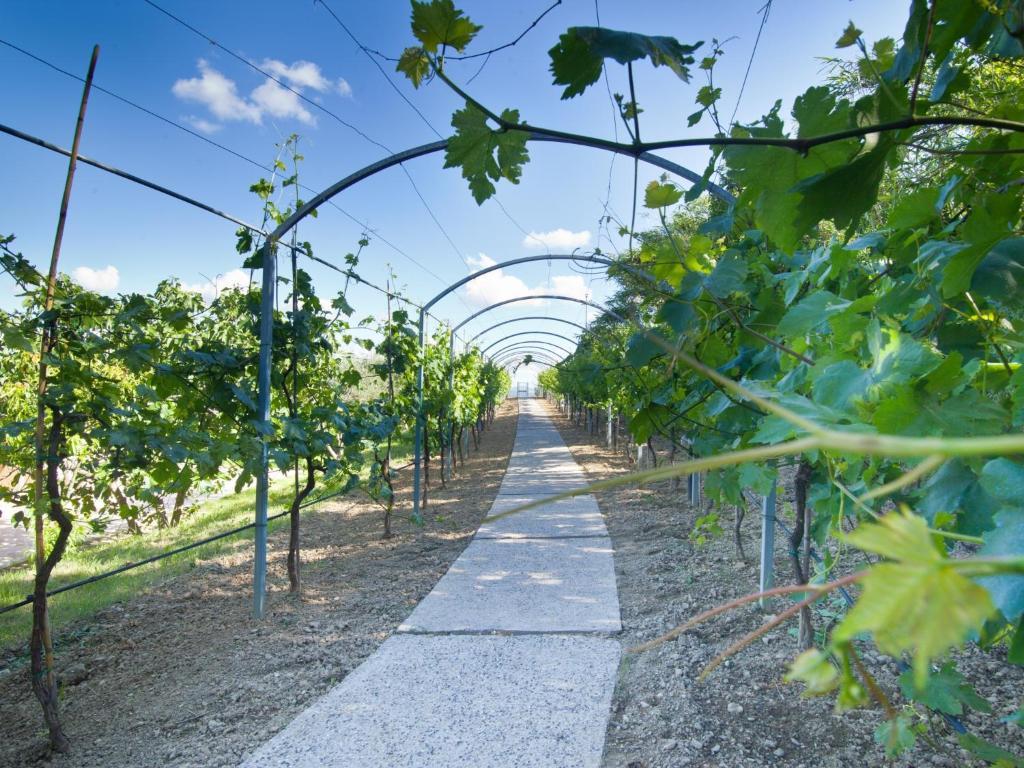 Agriturismo Il Vecchio Mandorlo Villa Perugia Dış mekan fotoğraf